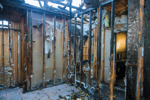 Professional Smoke Damage Removal technician working in Lawnside, NJ